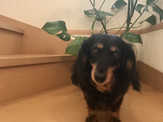 定休日の過ごし方