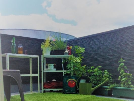 姶良　常設モデルハウスでベランピング