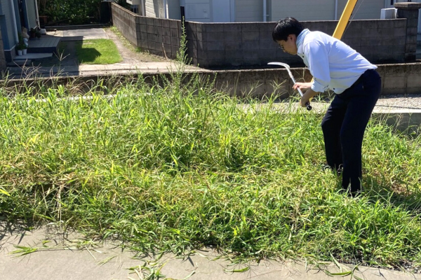ぐんぐん 成長中 🌴