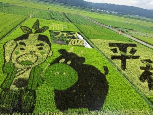 秋ですねぇ。（現場から届いたメール写真）