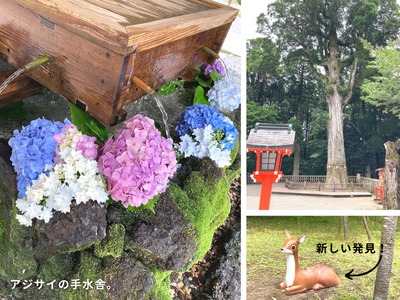 仲間だけど…ジェラシー。