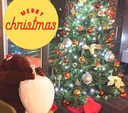 クリスマス仕様に（ぜひ、お越しを♪）
