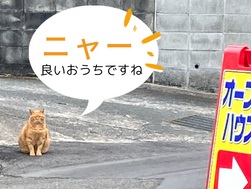 完成見学会を開催しました。（カワイイお客様も）