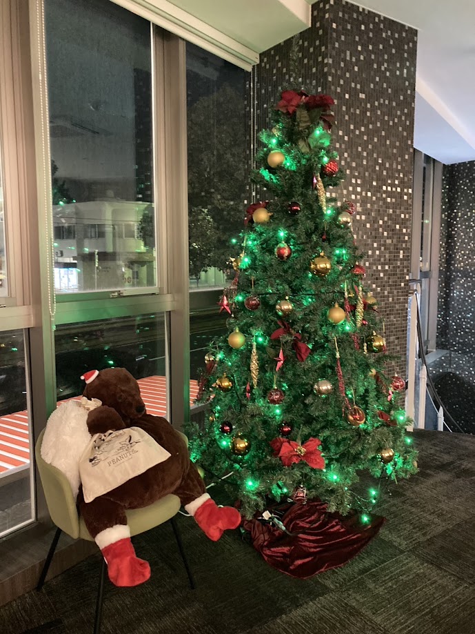 もういくつ寝ると、クリスマス？🎅