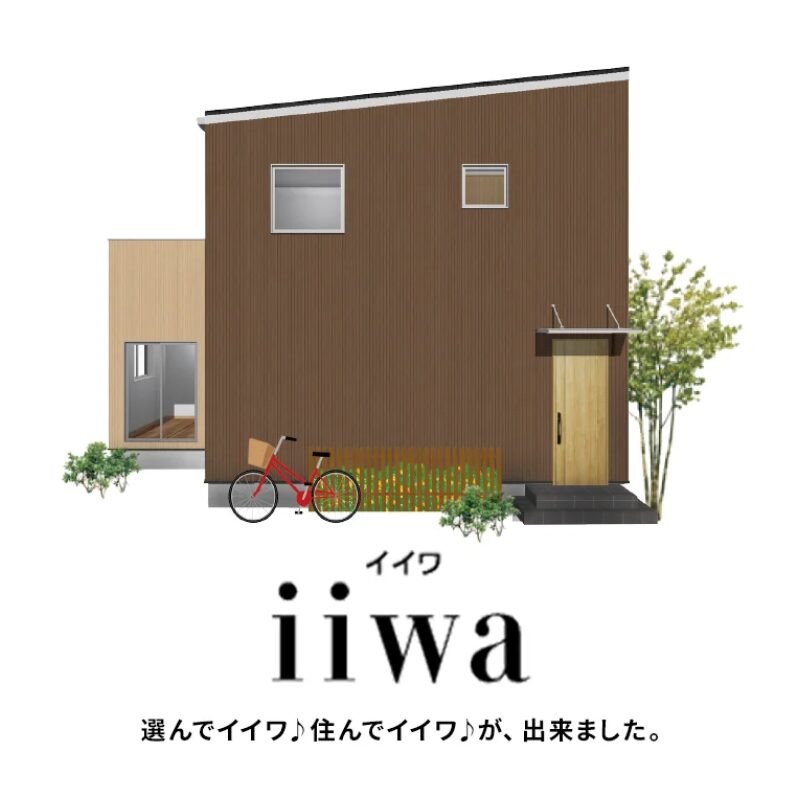 iiwa
